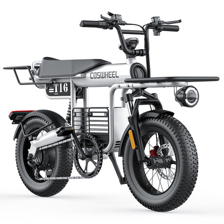 COSWHEEL T16 16" Cargo Electric Bike 500W Motor 48V 20Ah Battery