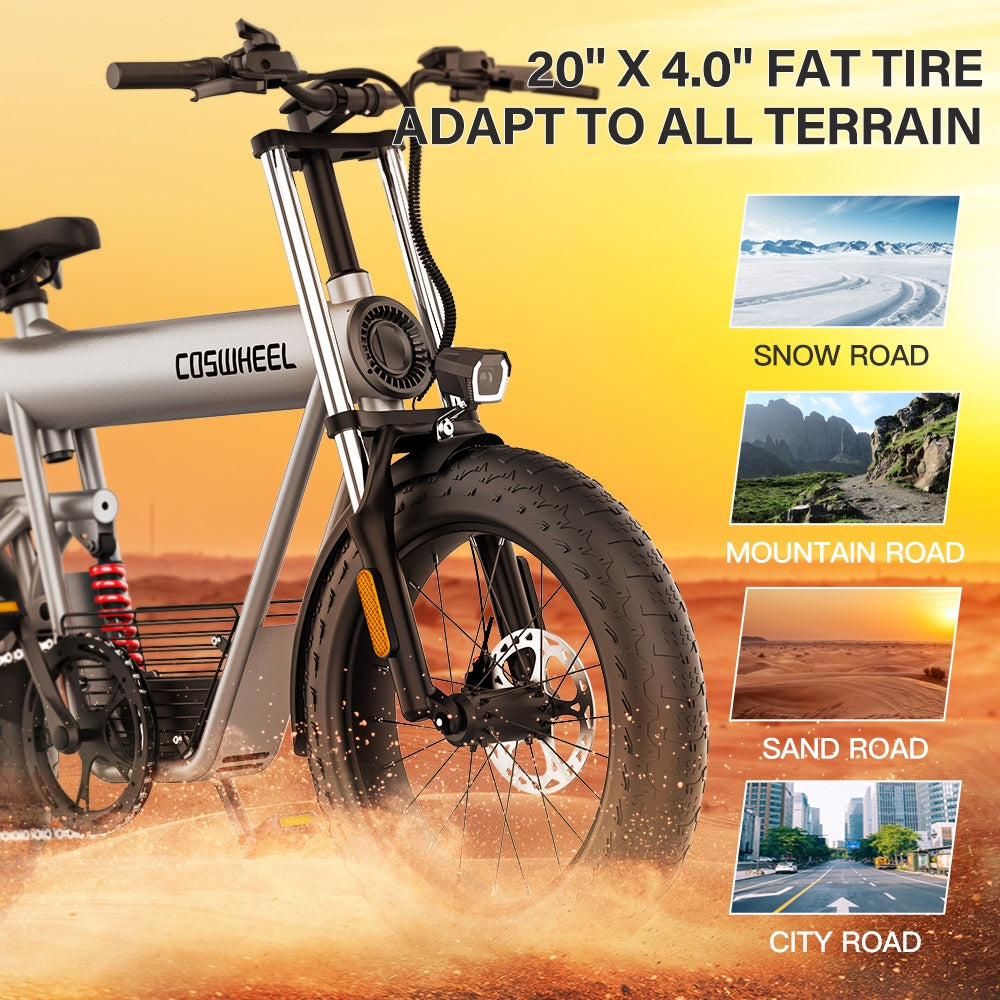 COSWHEEL T20 20" Electric Dirt Motorbike 1000W Motor Motor 48V 20Ah Battery