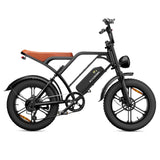 CYCROWN Hunter 20" Retro Electric Dirt Bike 750W Motor 48V 13+13Ah Dual Batteries