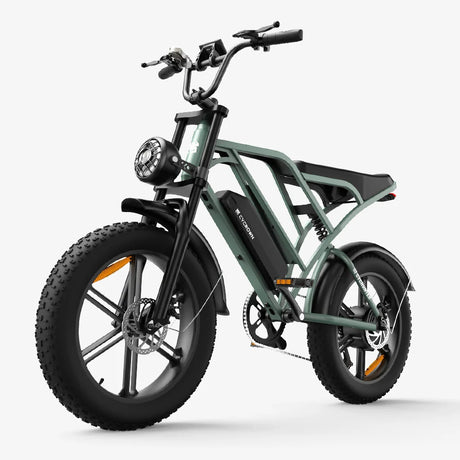 CYCROWN Hunter 20" Retro Electric Dirt Bike 750W Motor 48V 13+13Ah Dual Batteries