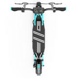 DRIVETRON DT10 10" Folding Electric Scooter 1000W Motor 48V 15.6Ah Battery