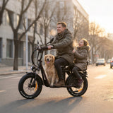 DRVETION ET20 20" City E-Bike 1000W Peak Motor 48V 15Ah/20Ah Battery