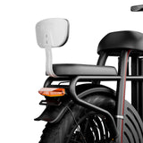 DRVETION ET20 20" City E-Bike 1000W Peak Motor 48V 15Ah/20Ah Battery