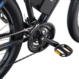 DUOTTS C29 29" Mountain Electric Bike 750W Motor 48V 15Ah Battery
