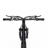 DUOTTS C29 29" Mountain Electric Bike 750W Motor 48V 15Ah Battery
