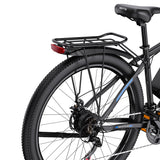 DUOTTS C29 29" Mountain Electric Bike 750W Motor 48V 15Ah Battery