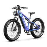 DUOTTS E26 26" Fat Tire Mountain Electric Bike 750W Motor 48V 20Ah Battery