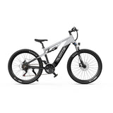 DUOTTS E29 27.5" Fat Tire Electric Dirt Bike 250W Motors 48V 13.5Ah Battery