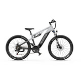 DUOTTS E29 27.5" Fat Tire Electric Dirt Bike 250W Motors 48V 13.5Ah Battery