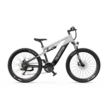 DUOTTS E29 27.5" Fat Tire Electric Dirt Bike 250W Motors 48V 13.5Ah Battery