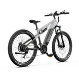 DUOTTS E29 27.5" Fat Tire Electric Dirt Bike 250W Motors 48V 13.5Ah Battery