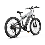 DUOTTS E29 27.5" Fat Tire Electric Dirt Bike 250W Motors 48V 13.5Ah Battery