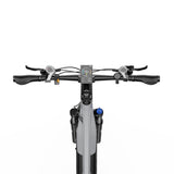 DUOTTS E29 27.5" Fat Tire Electric Dirt Bike 250W Motors 48V 13.5Ah Battery