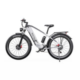 DUOTTS F26 26" Electric Mountain Bike 750W*2 Motors 48V 20Ah Battery