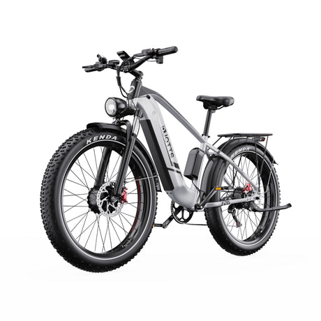 DUOTTS F26 26" Electric Mountain Bike 750W*2 Motors 48V 20Ah Battery