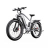 DUOTTS F26 26" Electric Mountain Bike 750W*2 Motors 48V 20Ah Battery