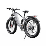 DUOTTS F26 26" Electric Mountain Bike 750W*2 Motors 48V 20Ah Battery