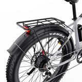 DUOTTS F26 26" Electric Mountain Bike 750W*2 Motors 48V 20Ah Battery