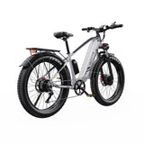 DUOTTS F26 26" Electric Mountain Bike 750W*2 Motors 48V 20Ah Battery