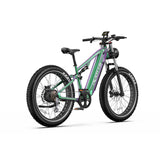 DUOTTS E26 26" SUV Fat Tire Electric Mountain Bike 750W Motor 48V 20Ah Battery