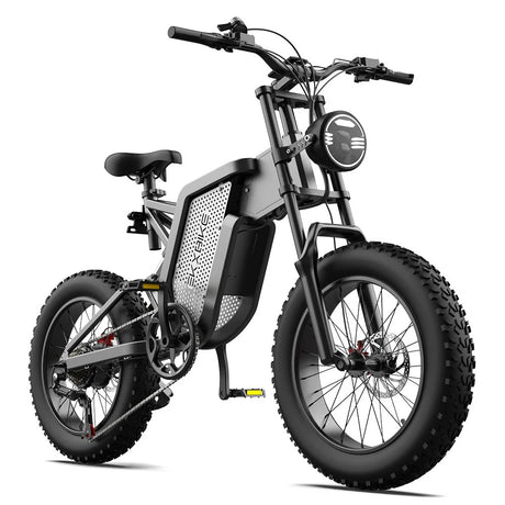 EKXBIKE X20 20" Off Road Electric Bike 2000W Motor 48V 35Ah Battery