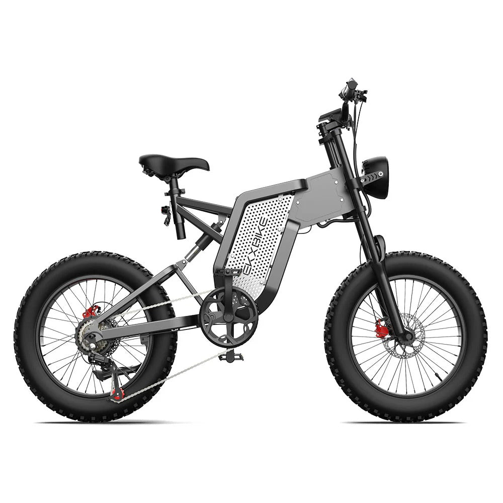 EKXBIKE X20 20" Off Road Electric Bike 2000W Motor 48V 35Ah Battery