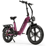 ENFFE EAEF-1 Pro 20" Folding Fat Tire E-Bike 1500W Motor Peak 48V 20Ah Battery