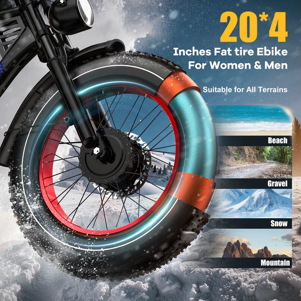 ENFFE EAES-2D Ultra 20" Off Road Electric Bike 3000W Dual Motor 48V 45Ah Dual Battery