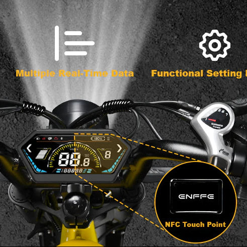 ENFFE EAES-2D Ultra 20" Off Road Electric Bike 3000W Dual Motor 48V 45Ah Dual Battery