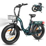 ESKUTE D202 20" Folding E-Bike 250W Motor 48V 20.8Ah Battery