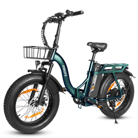 ESKUTE D202 20" Folding E-Bike 250W Motor 48V 20.8Ah Battery