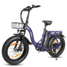 ESKUTE D202 20" Folding E-Bike 250W Motor 48V 20.8Ah Battery