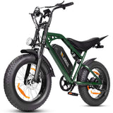 ESKUTE V202 20" Off-Road E-Bike 250W Motor 48V 20.8Ah Battery