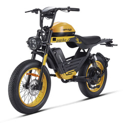HAPPYRUN G100 Pro Global Comme Morative Electric Bikes All-Terrain Electric Motor Bike 3000w Motor 18Ah + 15Ah Dual Battery