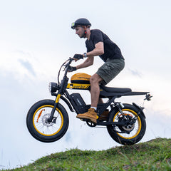 HAPPYRUN G100 Pro Global Comme Morative Electric Bikes All-Terrain Electric Motor Bike 3000w Motor 18Ah + 15Ah Dual Battery