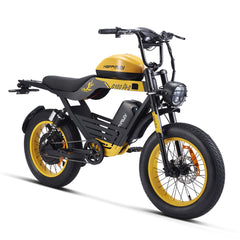 HAPPYRUN G100 Pro Global Comme Morative Electric Bikes All-Terrain Electric Motor Bike 3000w Motor 18Ah + 15Ah Dual Battery