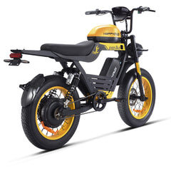 HAPPYRUN G100 Pro Global Comme Morative Electric Bikes All-Terrain Electric Motor Bike 3000w Motor 18Ah + 15Ah Dual Battery