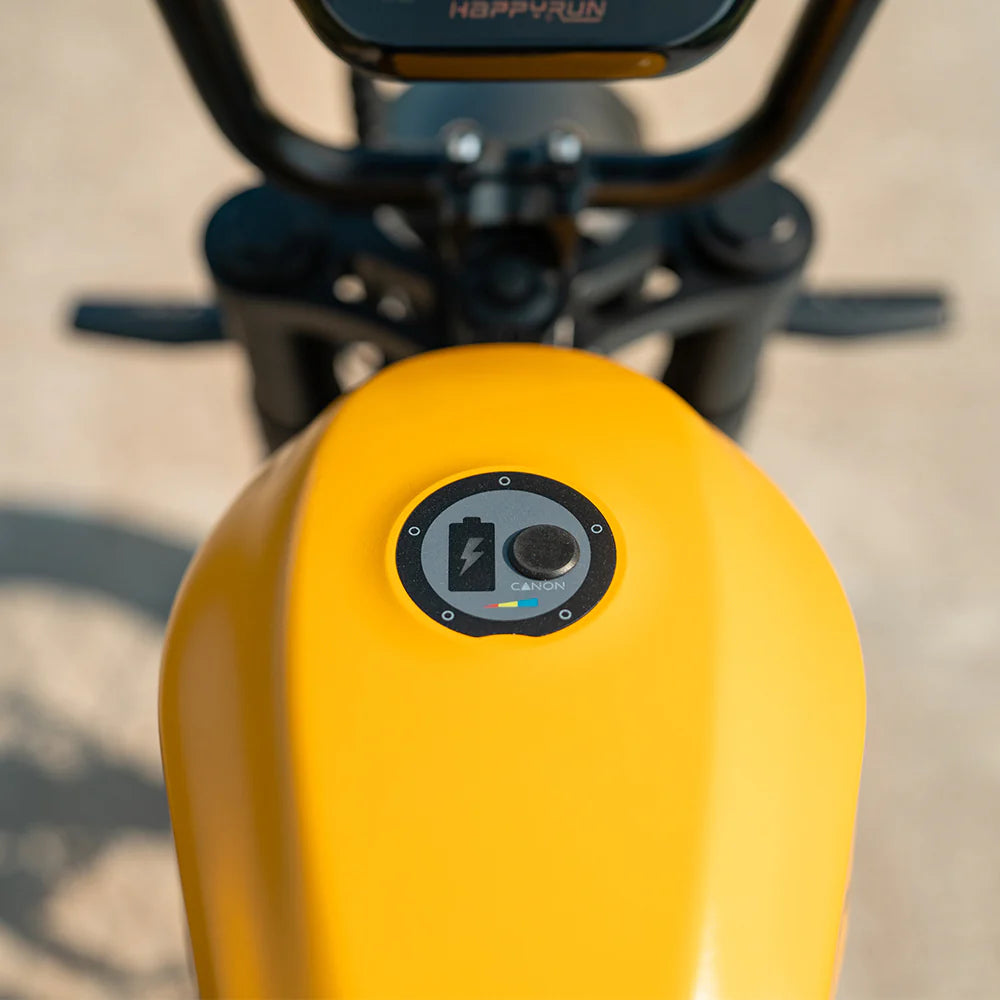 HAPPYRUN G100 Pro Global Comme Morative Electric Bikes All-Terrain Electric Motor Bike 3000w Motor 18Ah + 15Ah Dual Battery