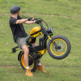 HAPPYRUN G100 Pro Global Comme Morative Electric Bikes All-Terrain Electric Motor Bike 3000w Motor 18Ah + 15Ah Dual Battery