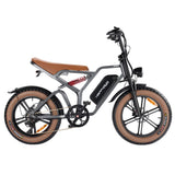 HAPPYRUN Tank G60 20"*4" Fat Tires Electric Bikes Trie Dirt All Terrain 750W 48V 18Ah