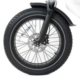 HAPPYRUN G70 20" Electric Cargo Bike with Long Range 2000W Motor Dual 20Ah+18Ah Batteries