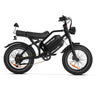 HAPPYRUN G70 20" Electric Cargo Bike with Long Range 2000W Motor Dual 20Ah+18Ah Batteries