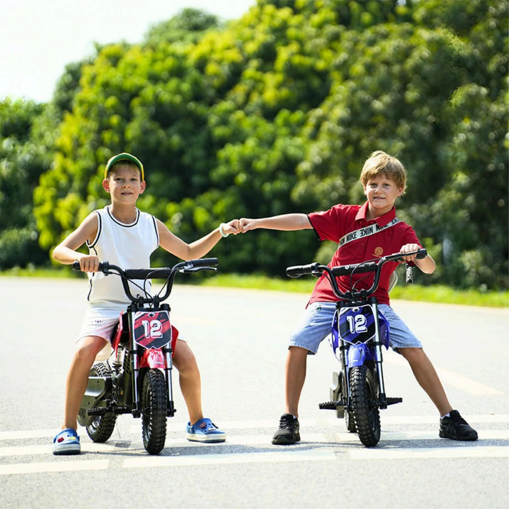 ISINWHEEL A12 12" Electric Dirt Motorbike For Kids 350W Motor 36V 5.2Ah Battery