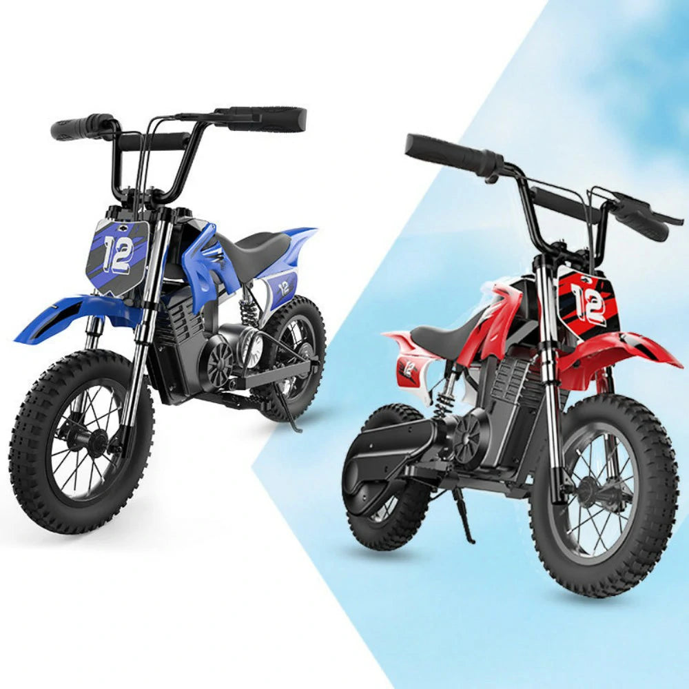 ISINWHEEL A12 12" Electric Dirt Motorbike For Kids 350W Motor 36V 5.2Ah Battery