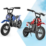 ISINWHEEL A12 12" Electric Dirt Motorbike For Kids 350W Motor 36V 5.2Ah Battery