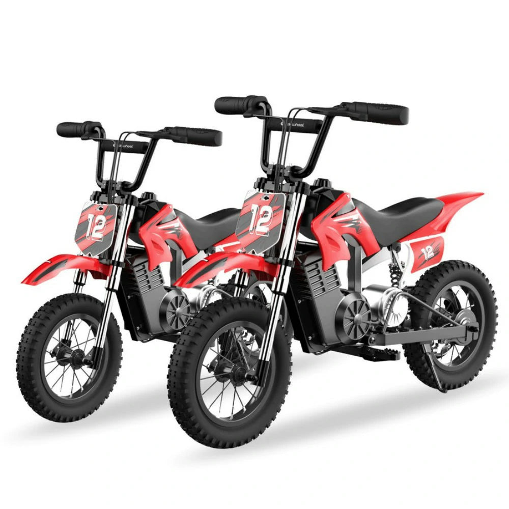 ISINWHEEL A12 12" Electric Dirt Motorbike For Kids 350W Motor 36V 5.2Ah Battery