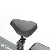 IWAFO IS2 10" Seated E-Scooter 800W Motor 48V 15Ah Battery