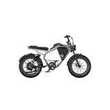 LUCKEEP M5 20" Electric Dirt Motorbike 1000W Motor 48V 15Ah/35Ah Battery
