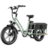 LUCKEEP X5 Lite 20" Cargo Electric Bike 750W(1400W Peak) Motor 48V 20Ah Battery