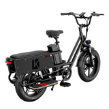 LUCKEEP X5 Lite 20" Cargo Electric Bike 750W(1400W Peak) Motor 48V 20Ah Battery